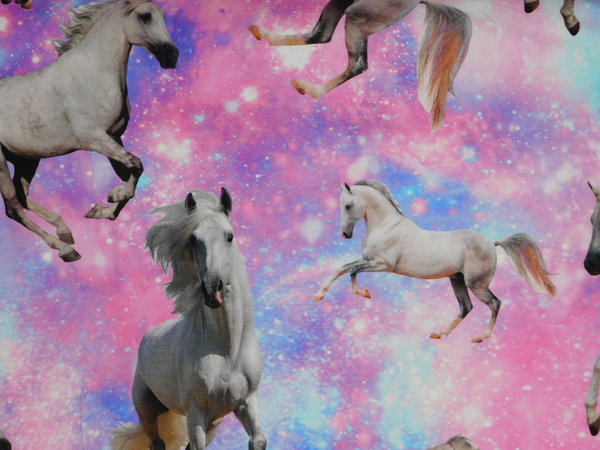 Jersey Stoff Pferde pink-lila Digitaldruck Kinderstoff Pony - annettes-shop